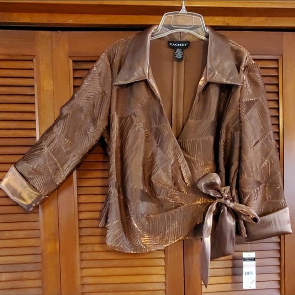 NWT Cachet top - Picture 1 of 7